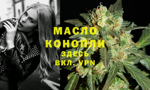 индика Рославль