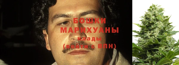 ГАЛЛЮЦИНОГЕННЫЕ ГРИБЫ Сосновоборск