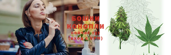 стафф Сосновка